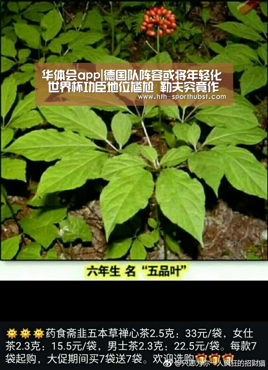 华体会