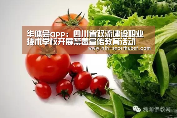 华体会app